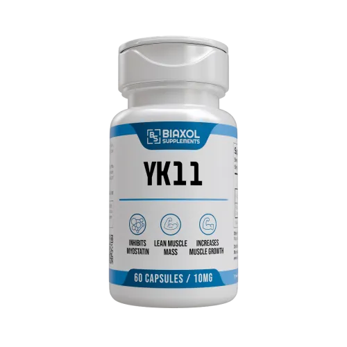 YK11