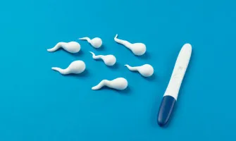 Clenbuterolo e funzione erettile: cosa c'è da sapere?