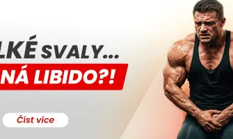 Jak steroidy ovlivnuji libido u muzu a zen: Androgeny, estrogen a prolaktin