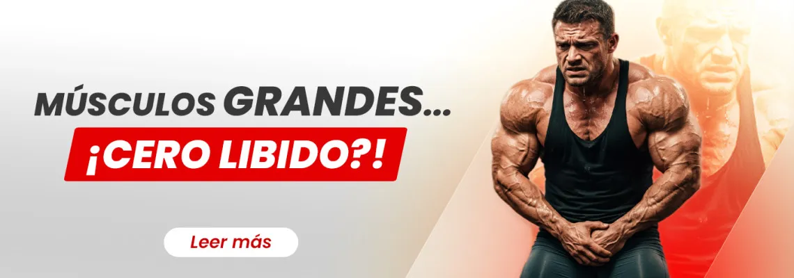 Como los esteroides afectan la libido en hombres y mujeres: Androgenos, estrogeno y prolactina