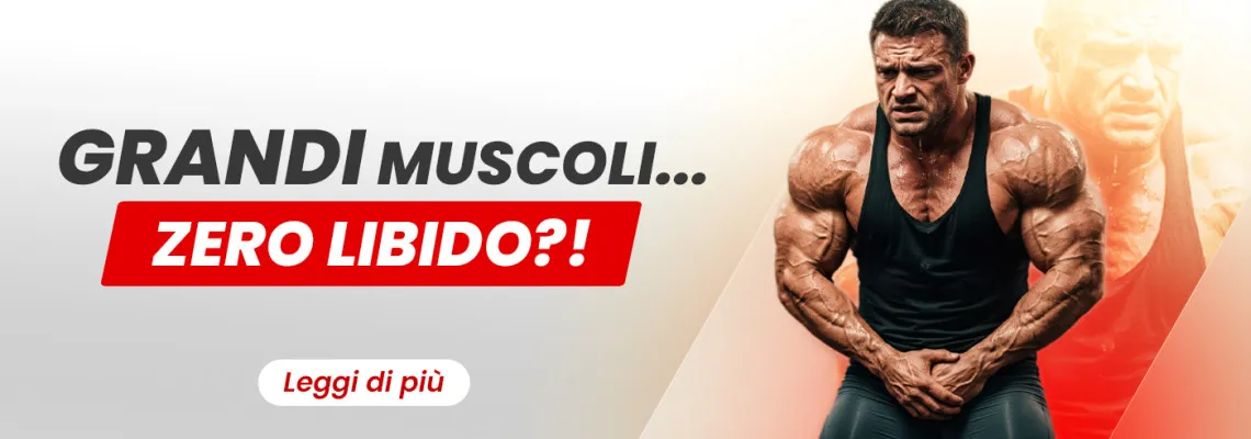 Come gli steroidi influenzano la libido negli uomini e nelle donne: Androgeni, estrogeni e prolattina
